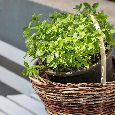 Promenade **** アパート スプリト